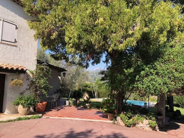 La terrasse et ses plantations